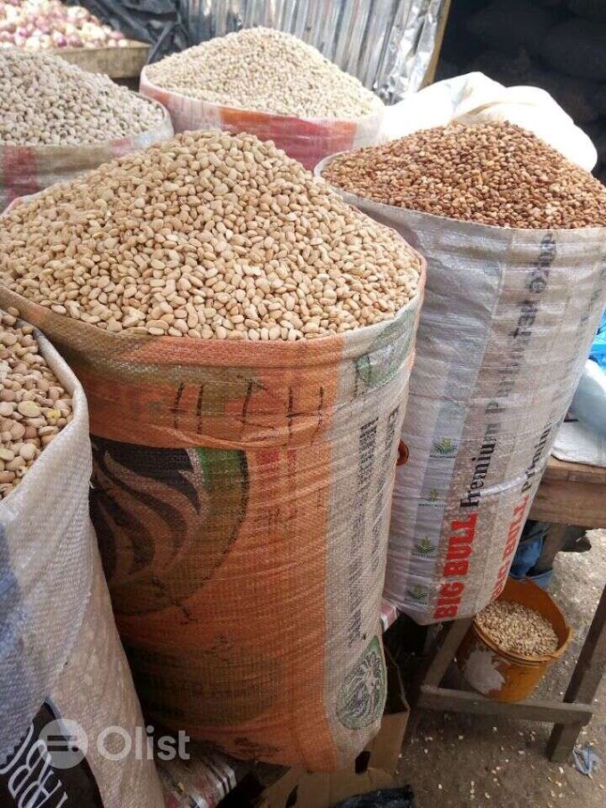 Reasons why Bag Of BEANS Cost  Now N100,000 In Nigeria