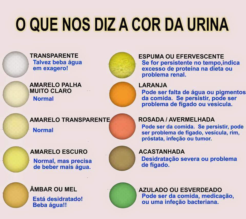 Coloração Da Urina E Seus Significados - NAZAEDU