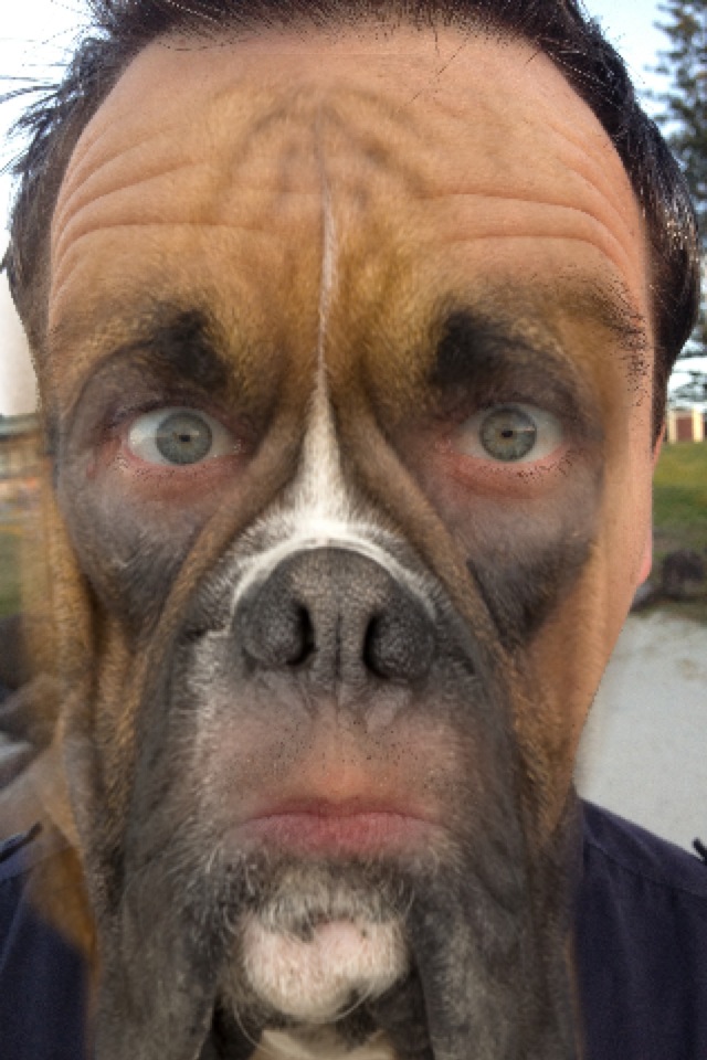 Dog+Face.jpg