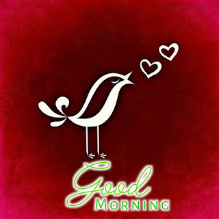 Lovely good morning images birds 