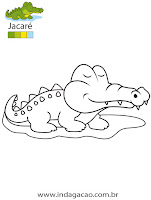 Jacaré Jacaré