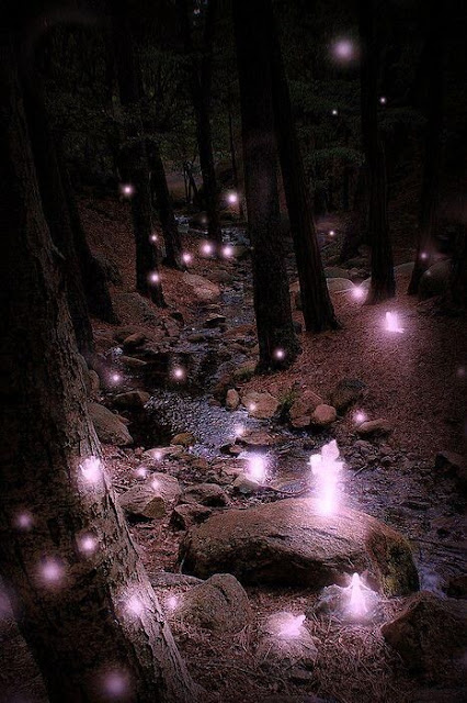 A stream running through a woods at night, with fairy lights round the trees and on the ground