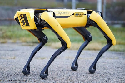 hi tech robot dog
