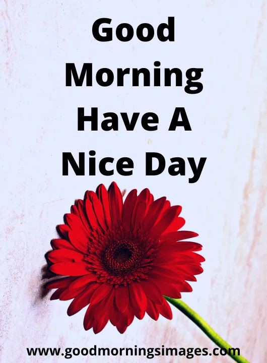 Good Morning Beautiful Images Good Morning Beautiful Images
