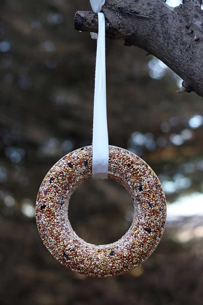 How to make a bird seed wreath recipe. Use bundt pans to make this simple craft this winter. Feed wild birds in your garden or backyard with this rustic home made bird feeder. Add fruit for a cute and unique treat for the cardinals and blue jays. This hanging bird seed wreath is great for all kinds of birds. Make a natural bird feeder with zero waste. Use this ideas for kids to make an easy DIY bird feeder. #birdfeeder #birdseed #birds