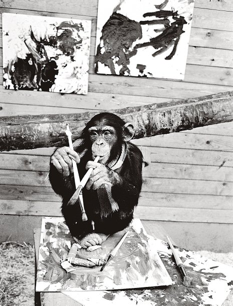 Pierre Brassau, el artista que resultó ser un mono