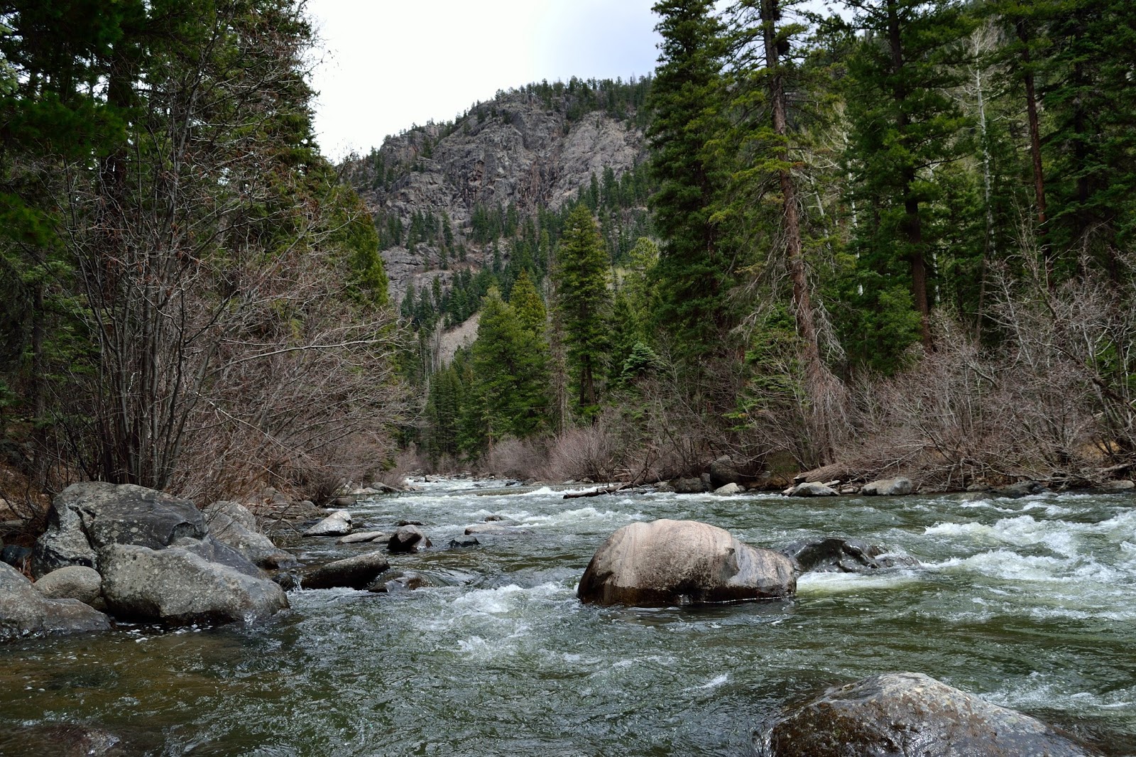Hiking and Camping Southwest Colorado Vallecito Creek Trail