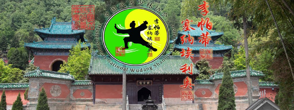 Shaolin  -  Wudang Styles Of Kung Fu