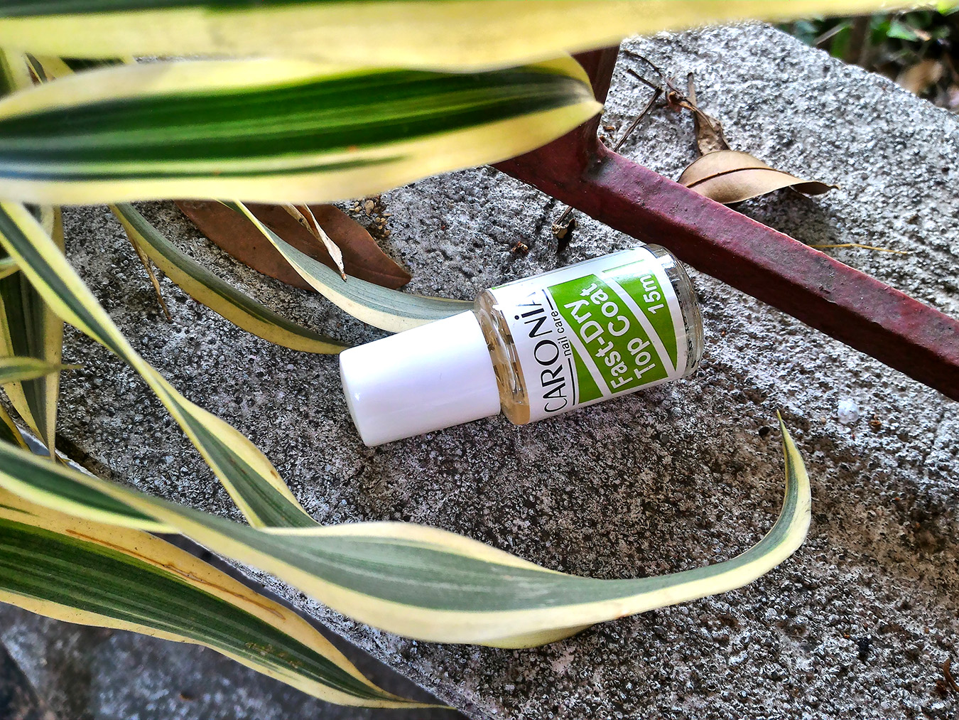 Caronia FastDry Top Coat Review Shash Stash