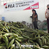Prefeitura de Alhandra entrega 9 toneladas de alimentos através do PAA
