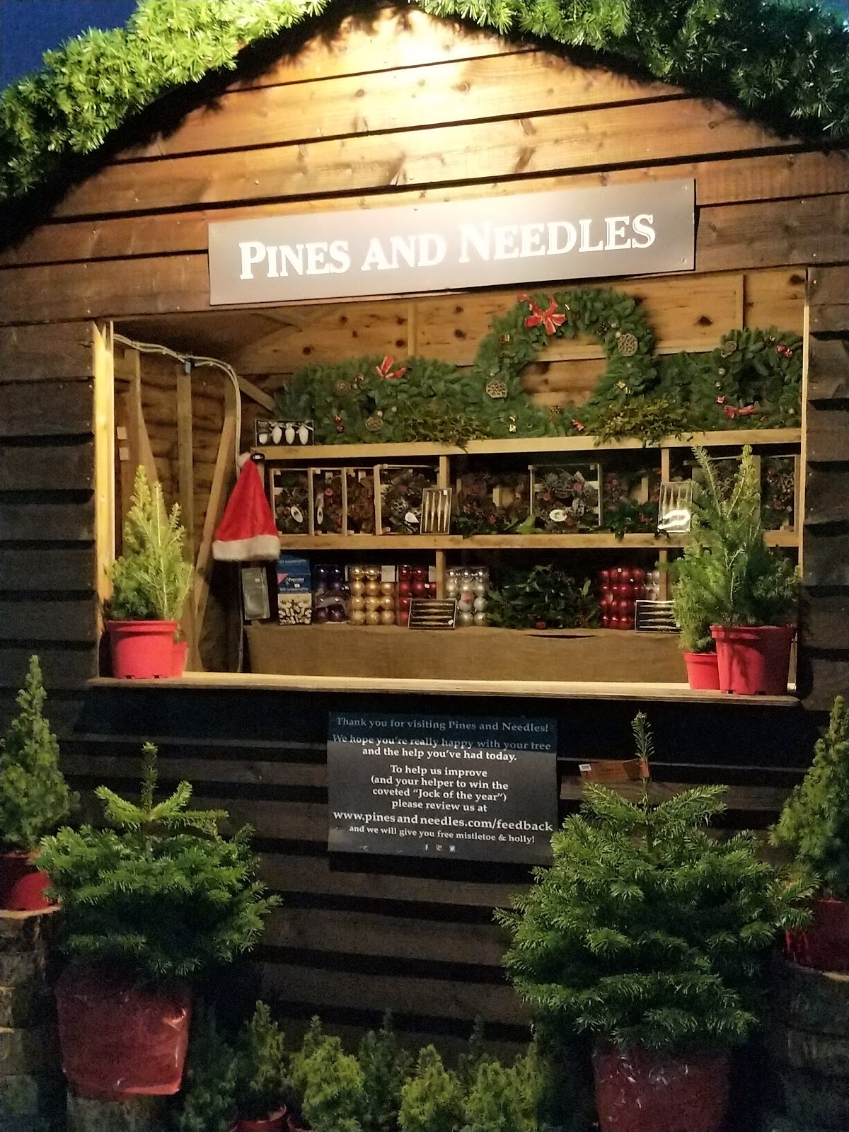 FREE Christmas Trees for Schools & Charities from Pines & Needles.