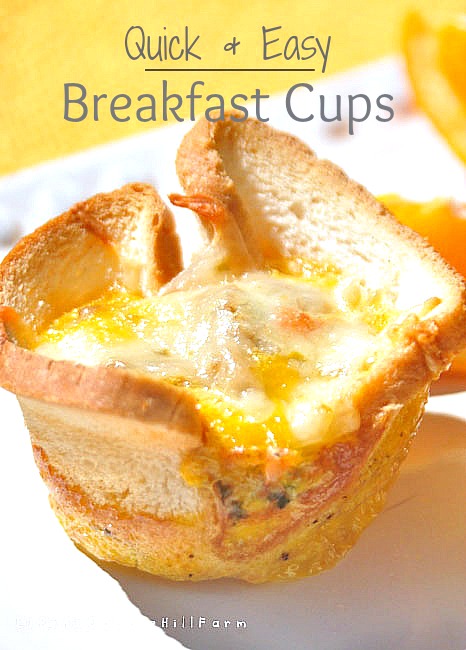 Quick & Easy Breakfast Cups Recipe with Variations | Life At Cobble ...