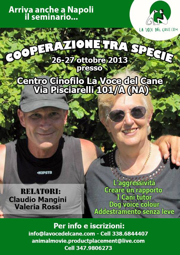 Siti di incontri napoli gratis Siti di incontri napoli gratis