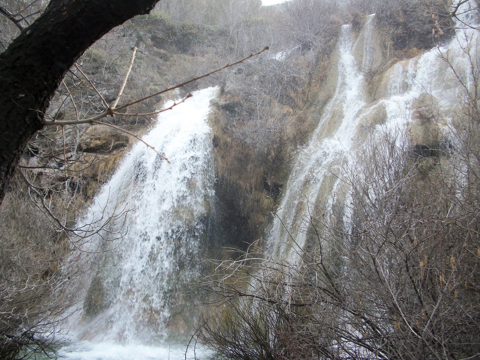 Áreas Recreativas de Cantabria y alrededores A. R. de Villaescusa de Ebro