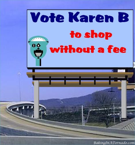 Vote Karen B, to shop without a fee | graphic created by and property of www.BakingInATornado.com | #MyGraphics