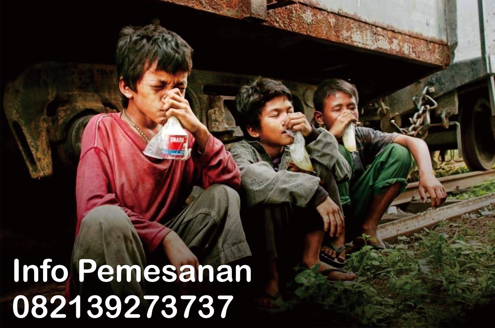 Obat Obat Herbal Obat Terapi Untuk Menghilangkan