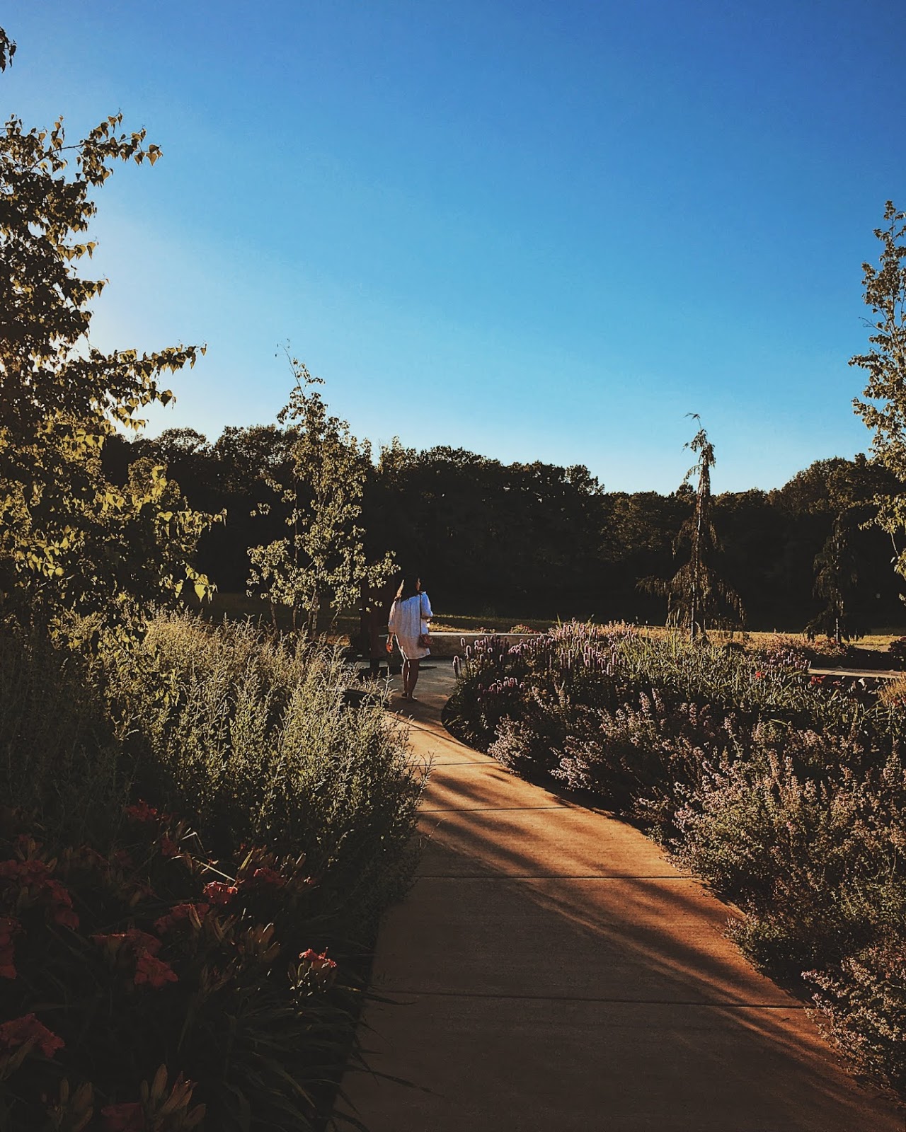 What I've Learned About House Hunting 