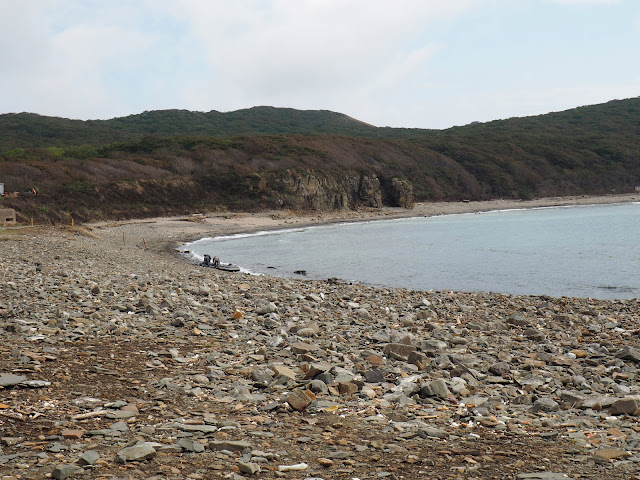 Владивосток, остров Русский, мыс Тобизина - бухта
