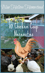 coop chicken necessities