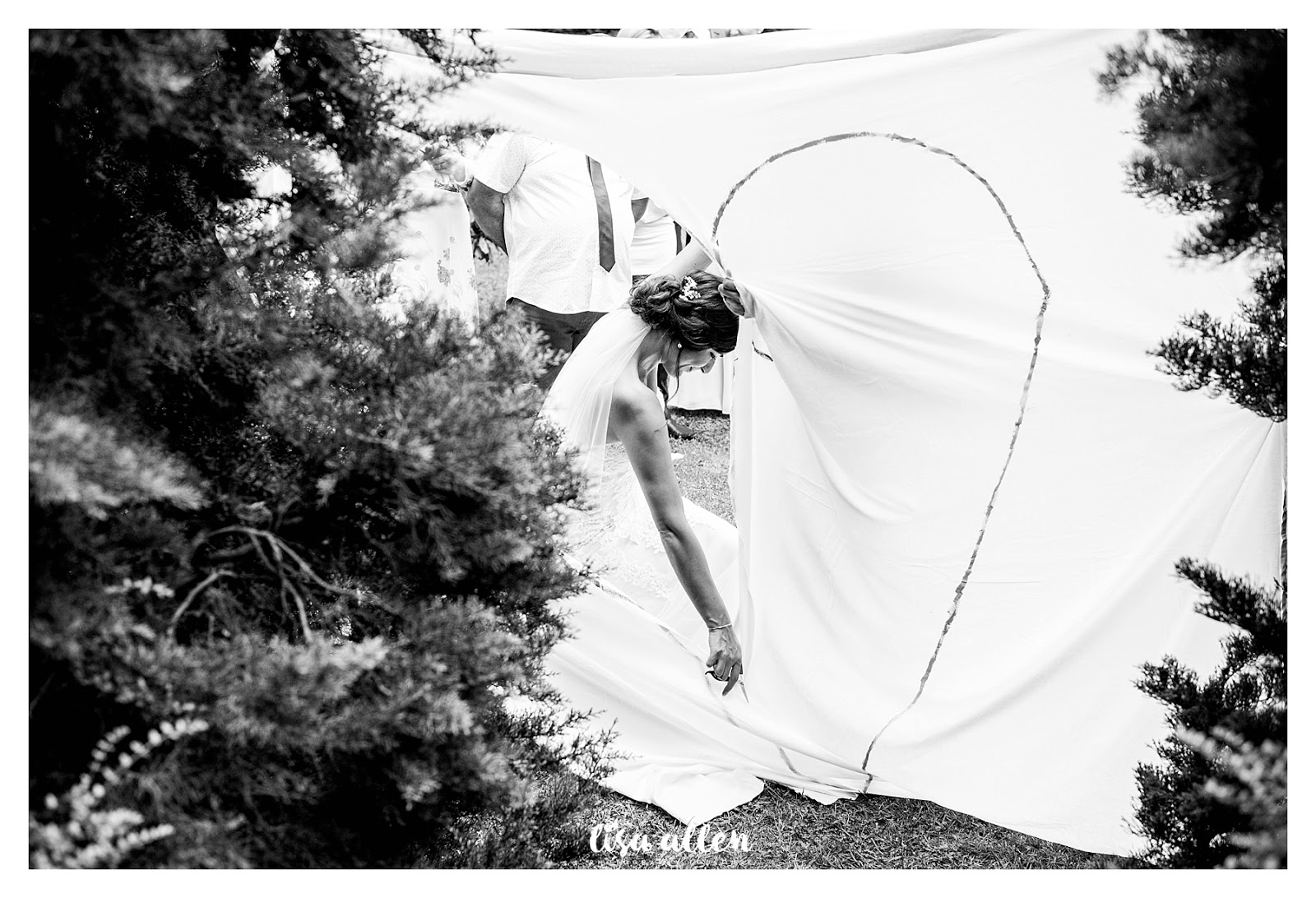 lisa allen photography