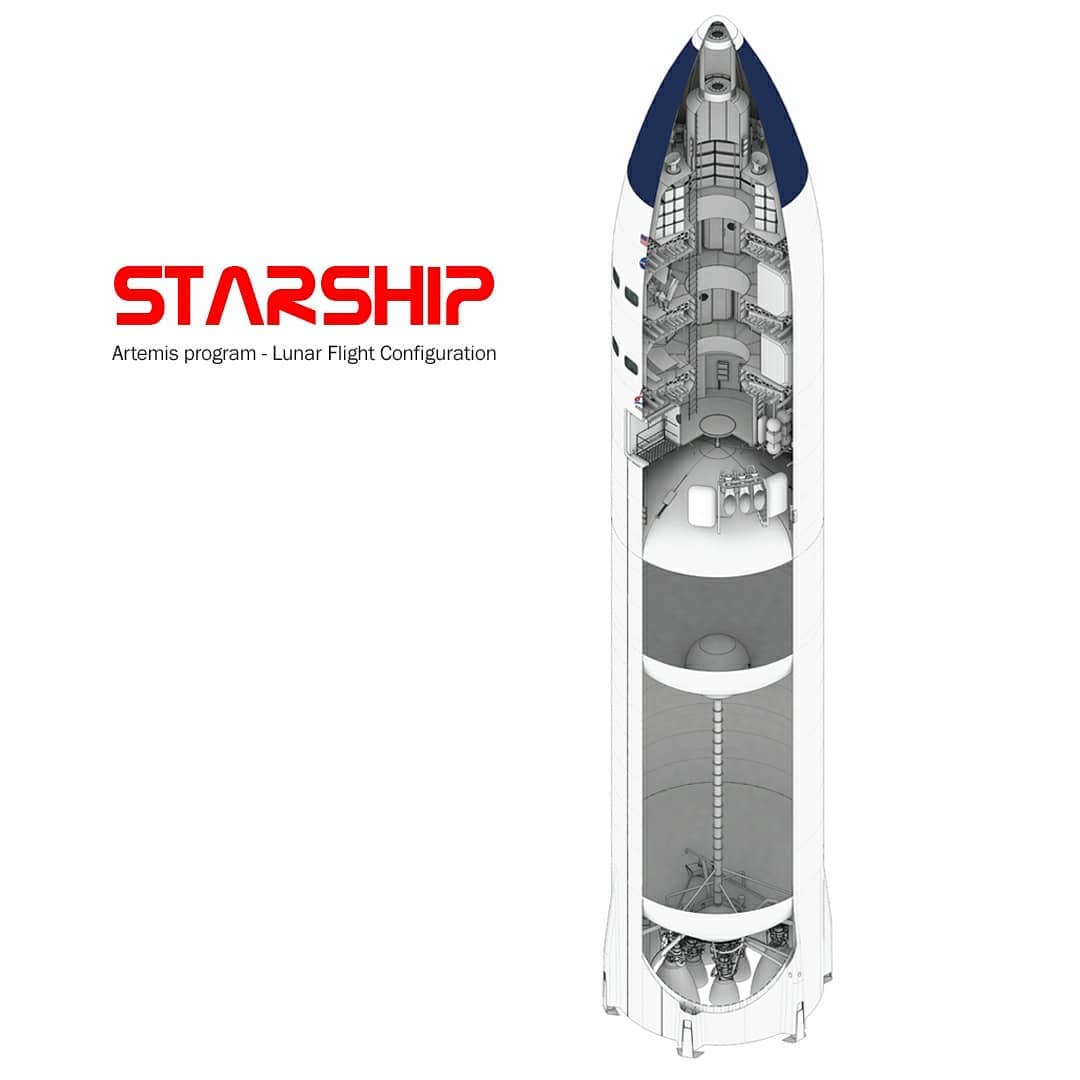 SpaceX's Lunar Starship cutaway diagram by Rocket Posters