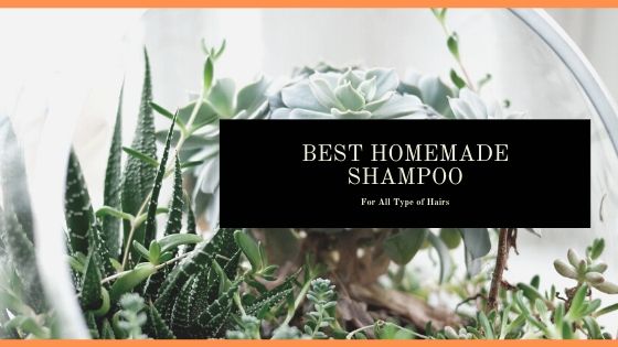 Best homemade shampoo
