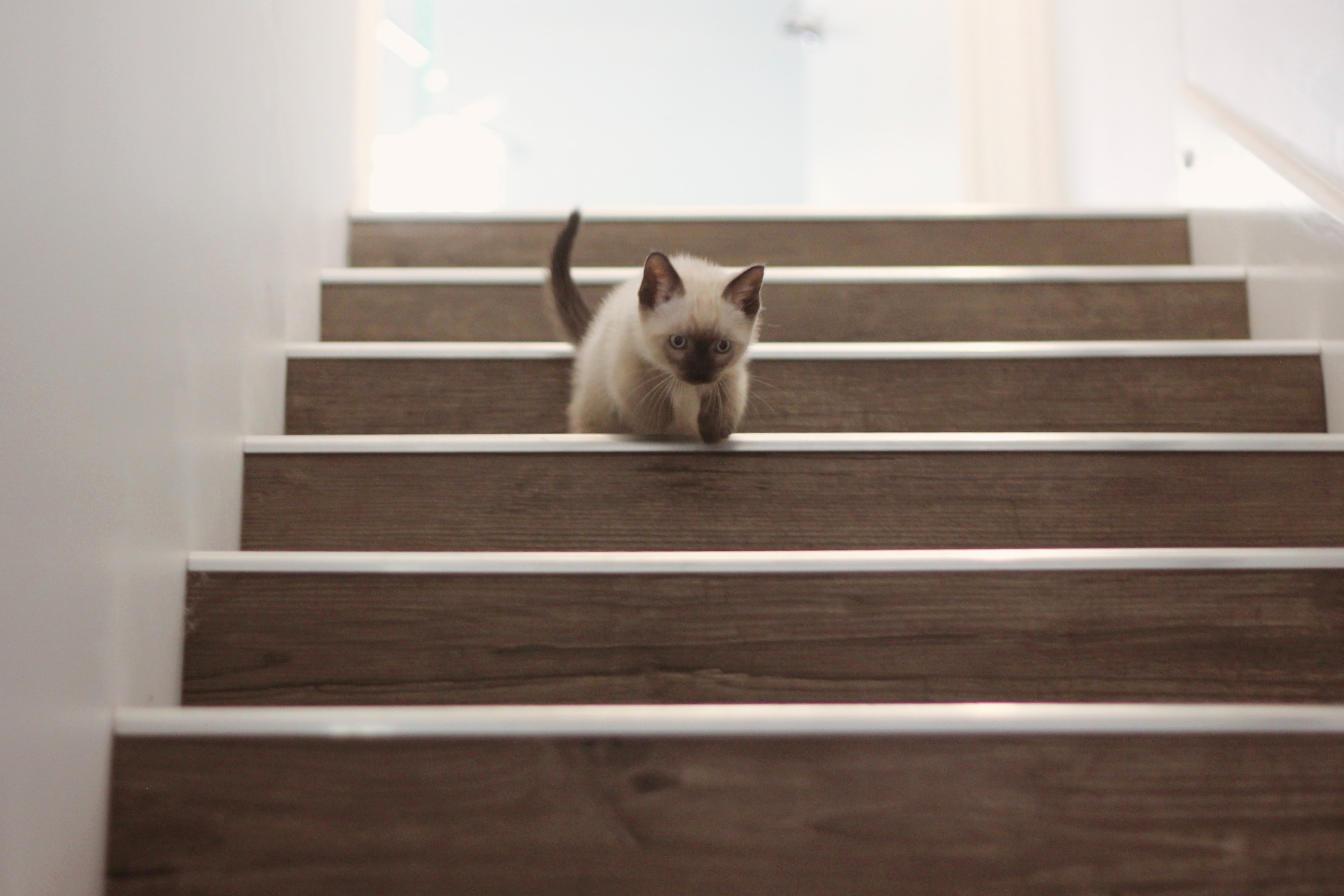 Different Types of Stair Nosing