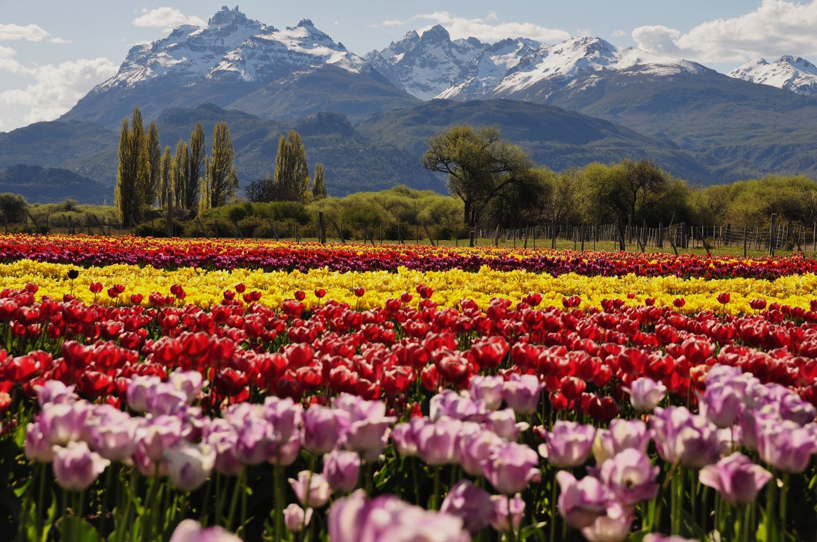 Paisajes del sur