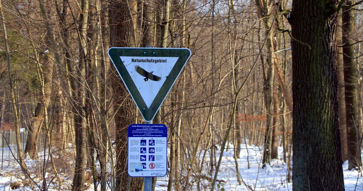 Walters Weblog Allacher Forst