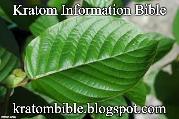 Kratom Information Bible