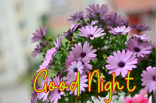 Good Night HD Images Collection Good Night HD Images Collection
