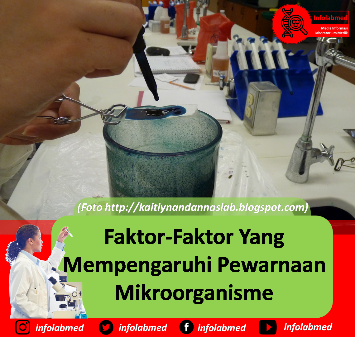 FaktorFaktor Yang Mempengaruhi Pewarnaan Mikroorganisme