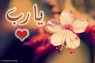صور يا رب صور يا رب