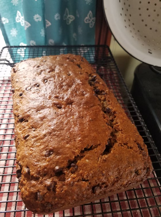 Pioneer Woman at Heart Skullcap infused oil Spider bite scar update