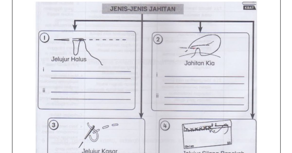 Pengembala Biribiri 🐑 Latihan 1 Teknologi Rumah Tangga Kenali Mata