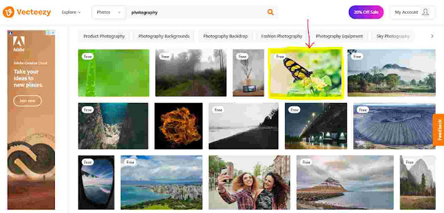 What is Vecteezy ? How To Use Vecteezy ? Vecteezy Free Download What is Vecteezy ? How To Use Vecteezy ? Vecteezy Free Download