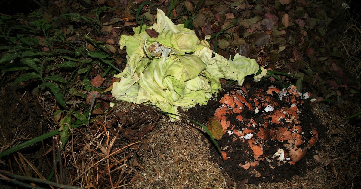 Waste management Why Does Composting Work Well For The Environment?