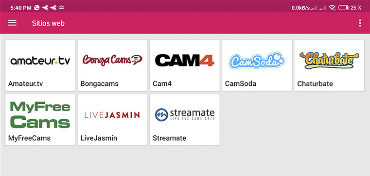 PussyCam