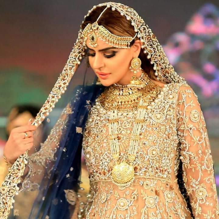 Mehwish Shah Tv Dolly Leo,Dolly Fashion Icon, Dolly official's