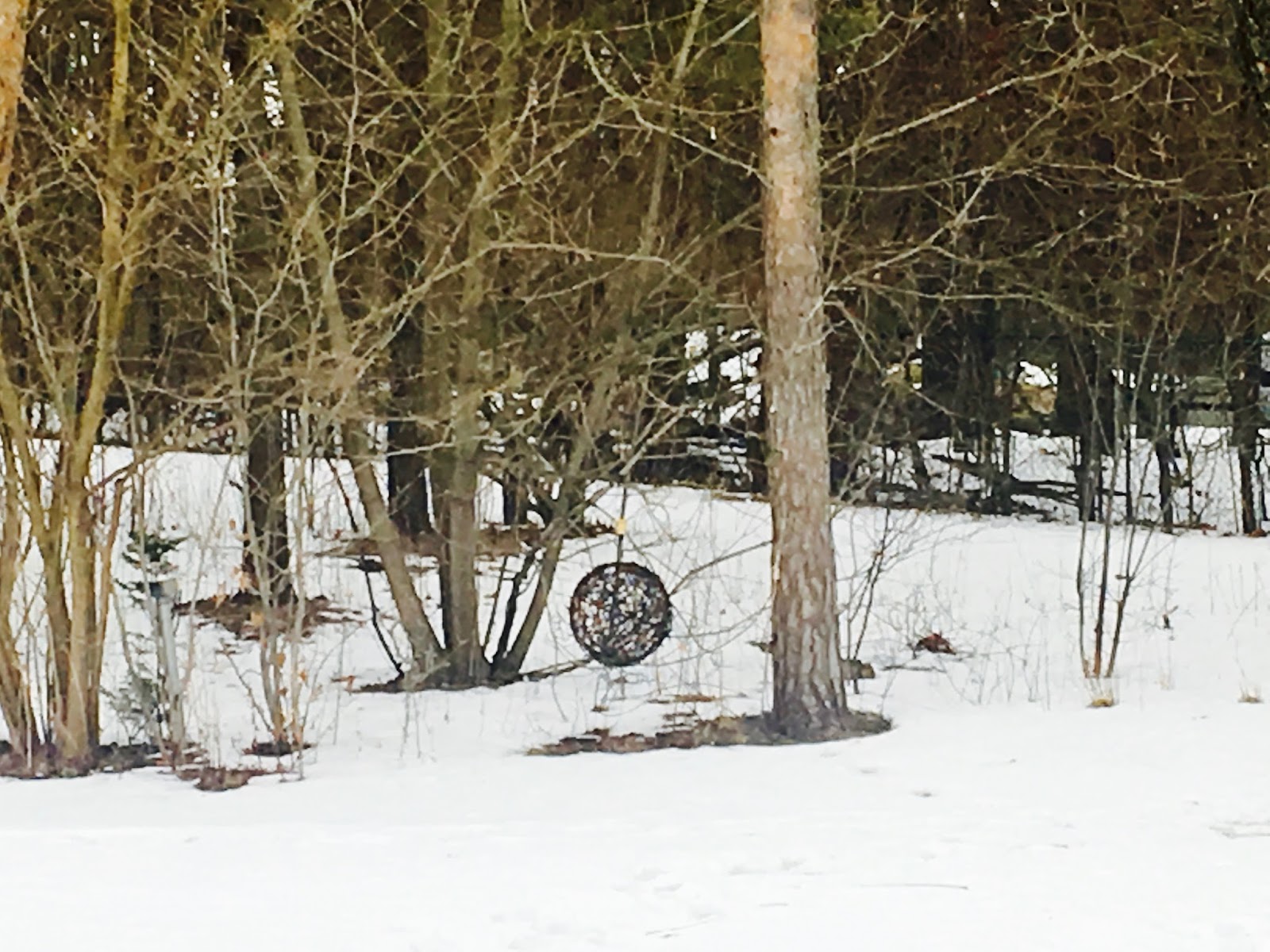 Mop Philosophy Winter Gardens at Langdon Hall
