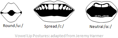 The sounds of English: ARTICULATORS