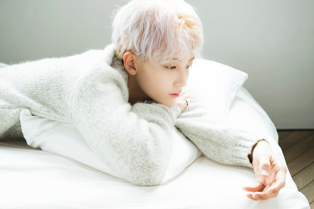 2017%2B%25EC%2595%2599%25EC%2595%25991-2