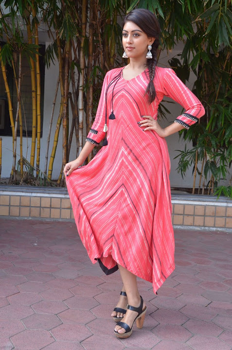 Anu Emmanuel at Majnu Success Celebration