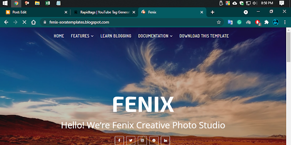 Fenix Portfolio Premium Version