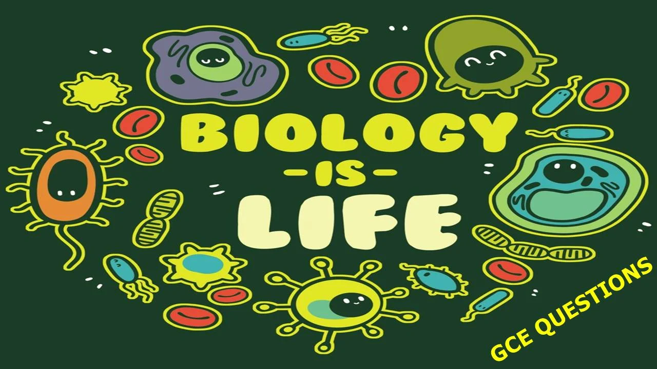 All Cameroon GCE O Level Biology Past Questions/Answers PDF