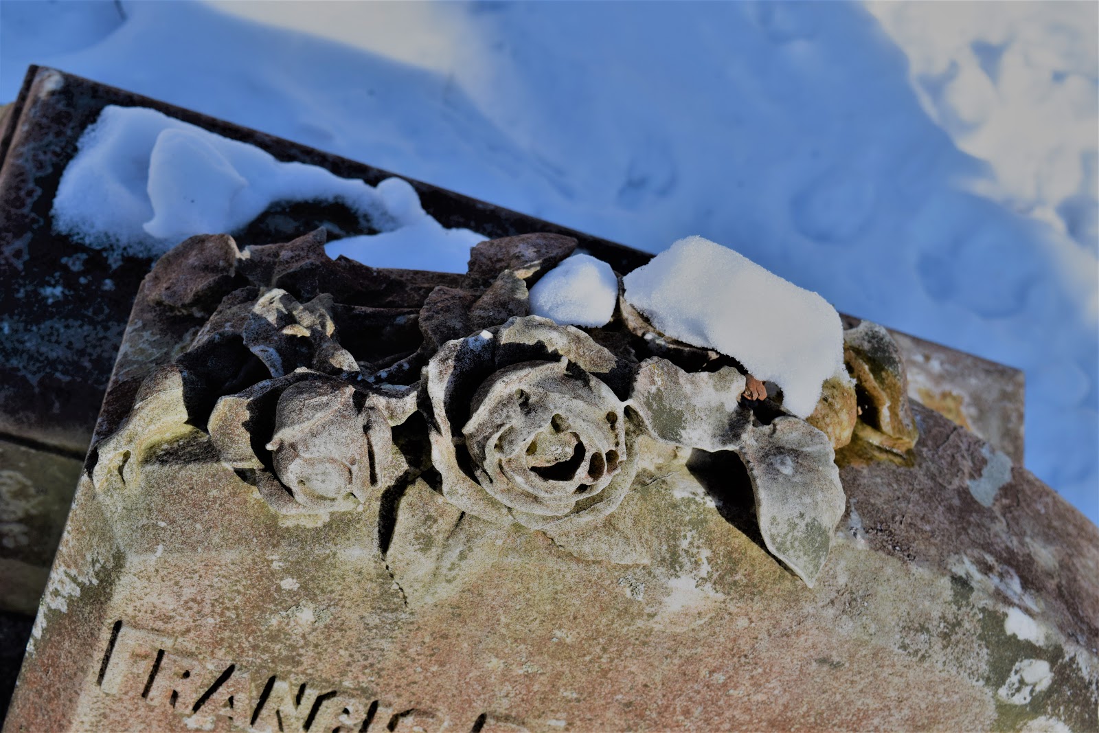 World in Ruin DeWolf Cemetery