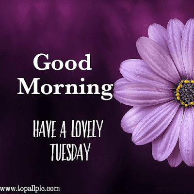 good morning tuesday images good morning tuesday images