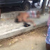 Policia registra homicídio no Bairro Juazeiro, em Valente