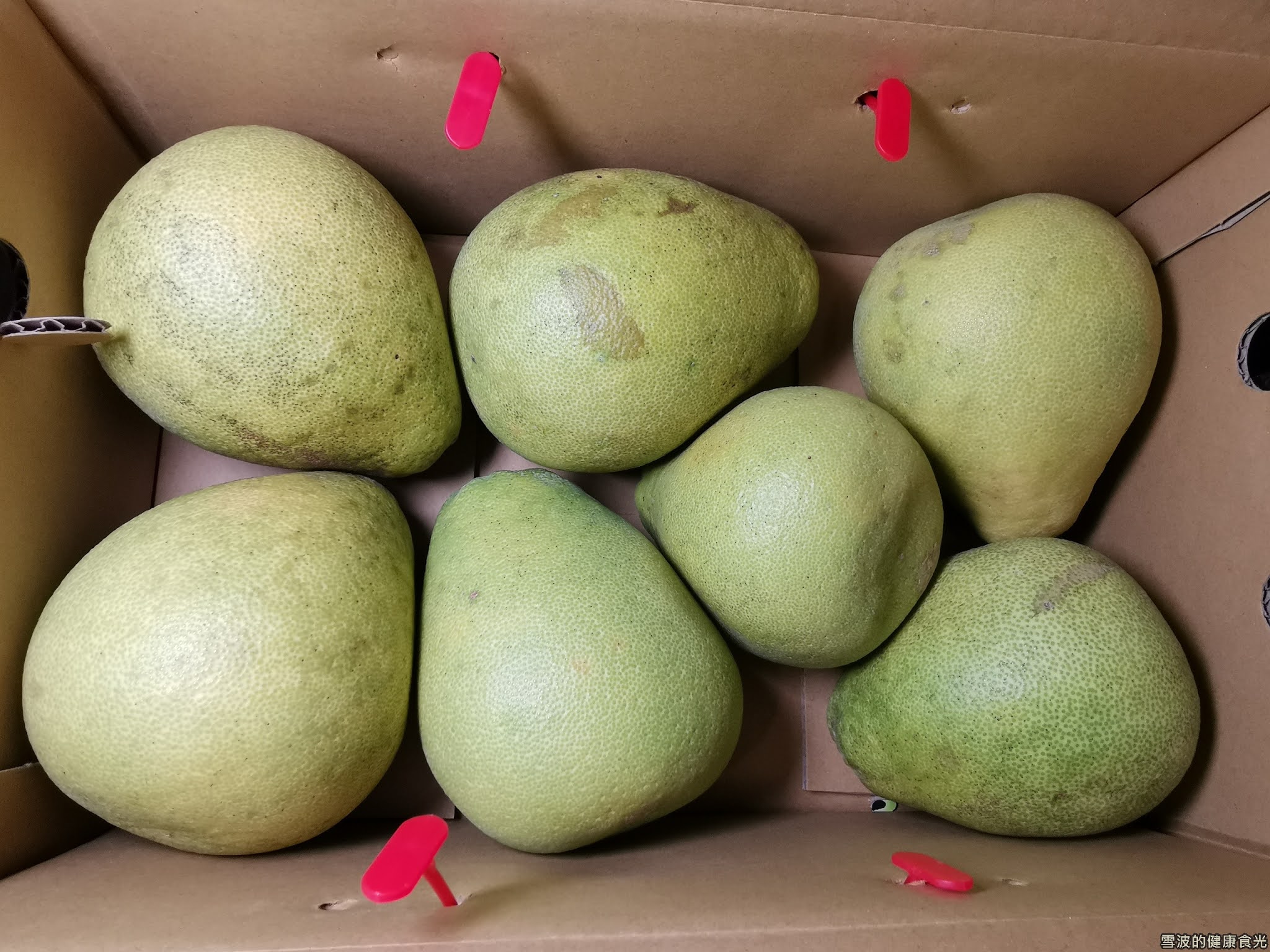 東豐有機文旦柚 東豐有機文旦柚