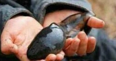 Inilah Foto Kecebong Babon Aspal Putih